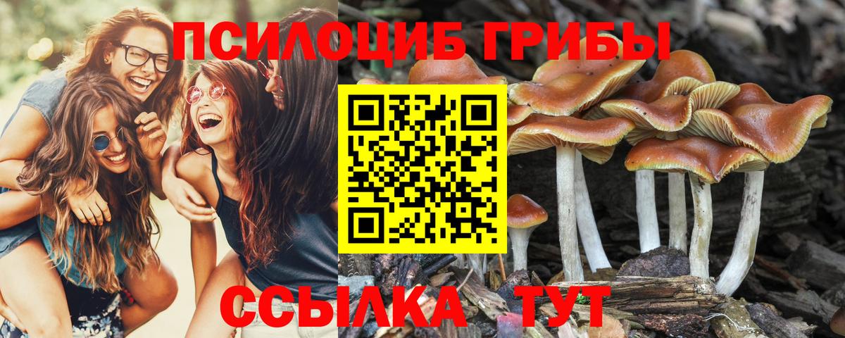 Галлюциногенные грибы мухоморы Трёхгорный