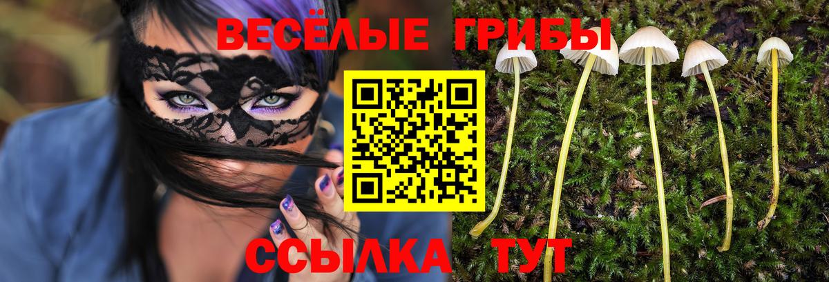 Галлюциногенные грибы MAGIC MUSHROOMS  Вход с VPN  Трёхгорный 